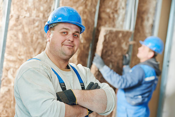 Best Insulation Maintenance and Repair in Hinton, WV