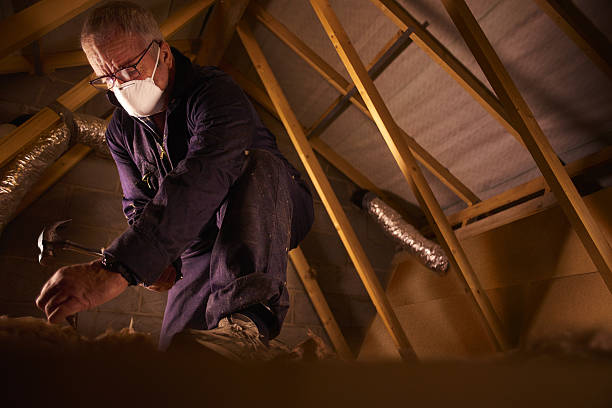 Best Cellulose Insulation in Hinton, WV